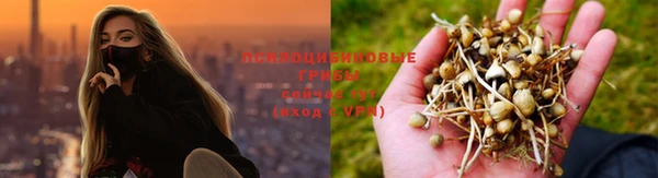 2c-b Лиски